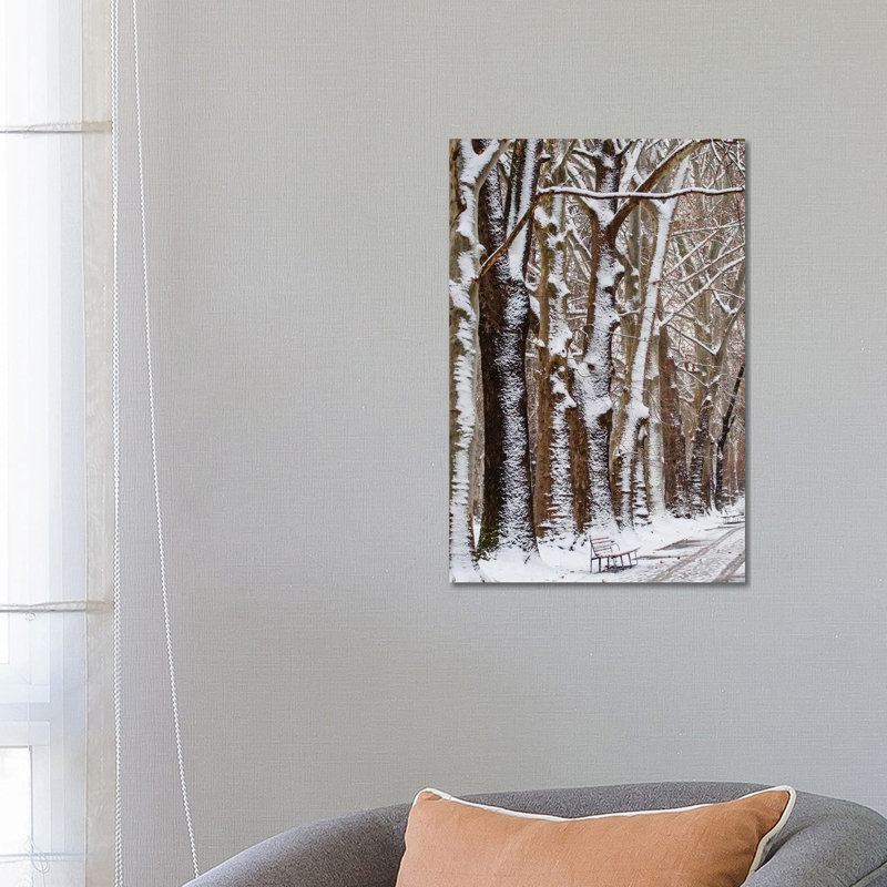 Nature Snow by Goran Anastasovski - Wrapped Canvas Print, 66.04 cm H x 45.72 cm W x 1.91 cm D