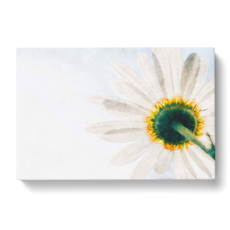 White Daisy Vol.1 - Wrapped Canvas Print, 50cm H x 76cm W x 3cm D