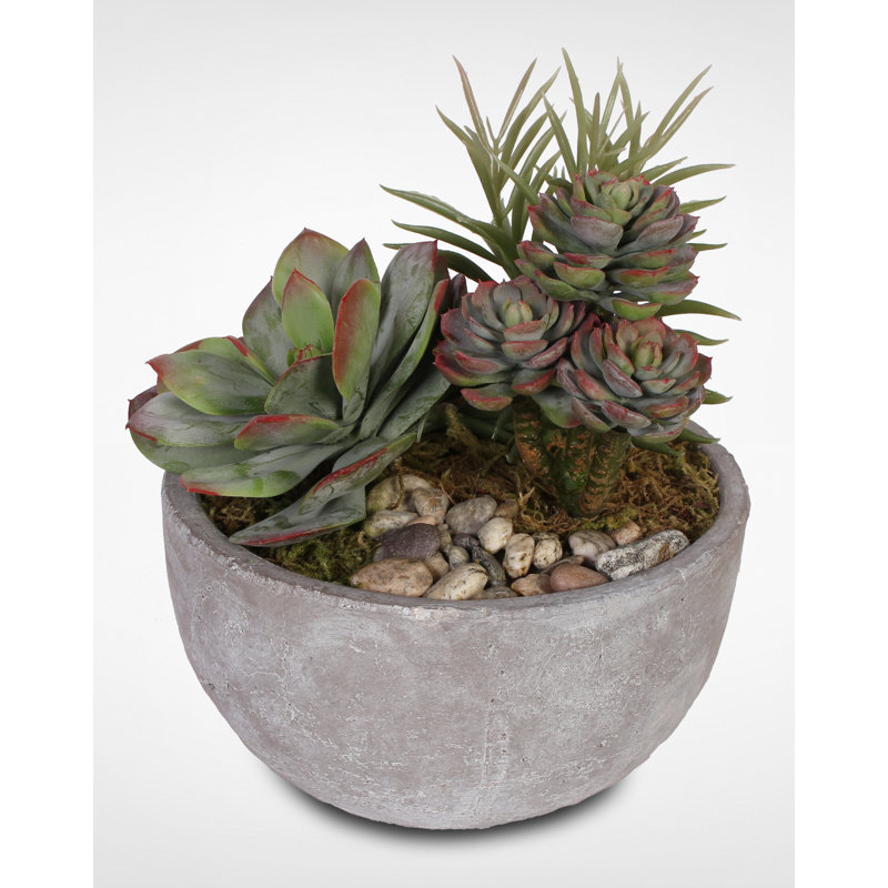 Faux Succulent in Stone Pot