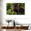Orignal Brampt Wild Bull-108078680
