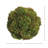 Decorative Sedum Balls-1731351886