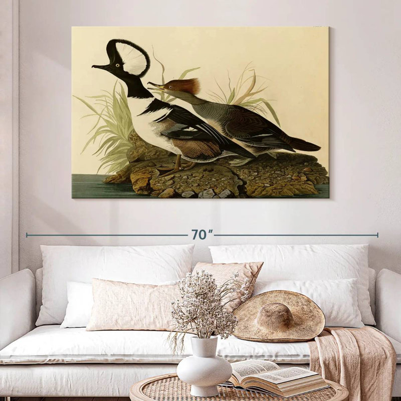 Hooded Merganser, 34" H x 51" W