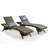 Ozellar All Weather Outdoor Wicker Chaise Lounge-1501767561