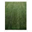 Tapis vert Jahiem