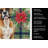 Boxer Christmas PoinsettIas Kitchen Towel-2080584163