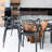 Modholic Nest Dining Chair, Black-27656347-122782392