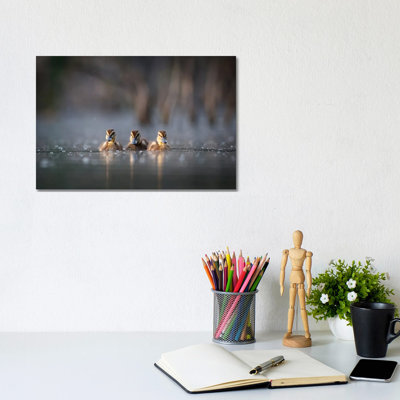 Trio 1 Piece Wrapped Canvas Wall Art