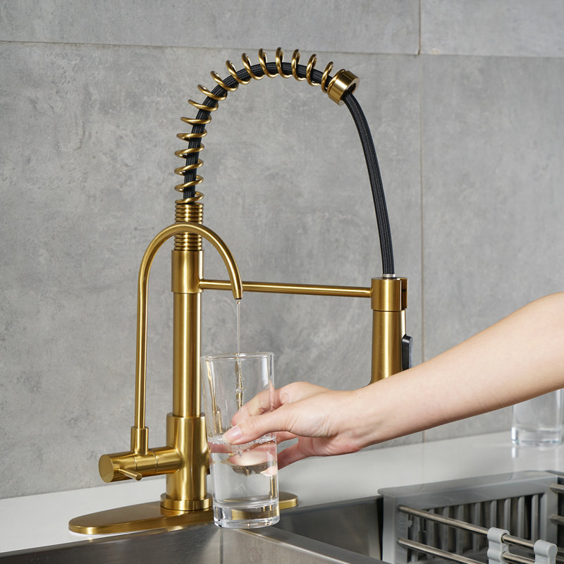 3 in 1 Water Filter Purifier Spring Drinking Water Kitchen Faucet with Sprayer, Gold
