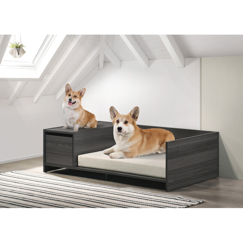 Lit pour animaux de compagnie moderne et confortable de 47 po de large gris cendré avec compartiment de rangement et coussin