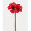 White Artificial Amaryllis 19.5”-886426228