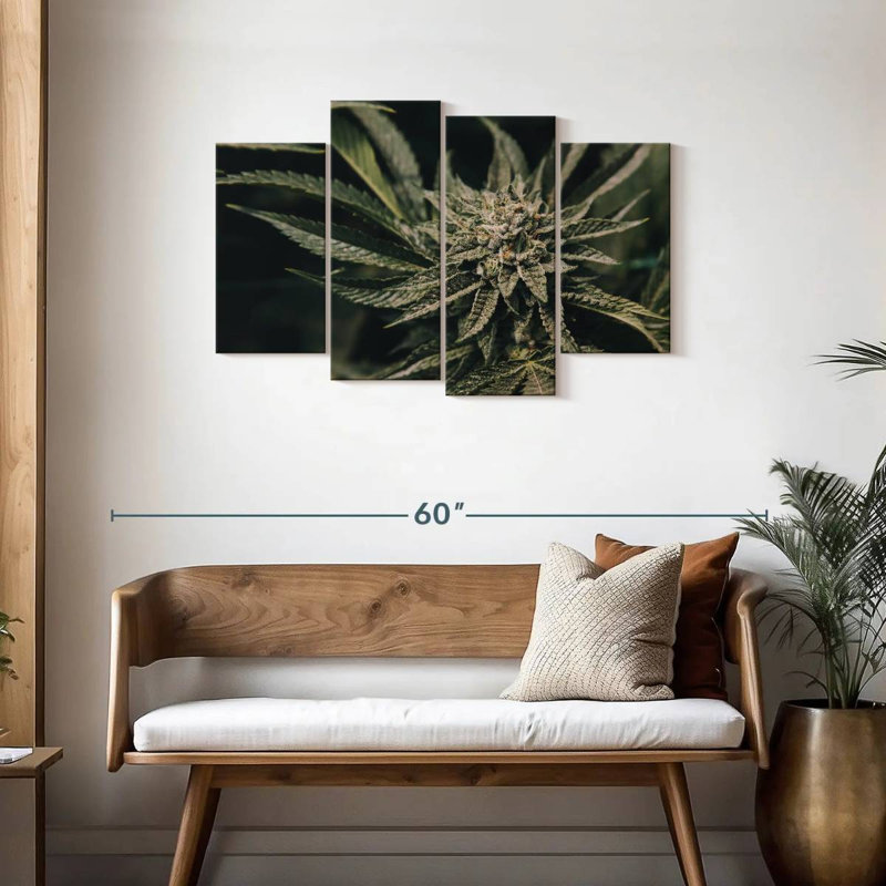 Plante de marijuana Senne, H 27 po x l 43 po
