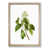 Oak Framed selected