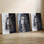 Ensemble de 3 affiches d'art mural encadrées, ensemble de triptyques d'art sur toile Viking Shieldmaiden-1240715415