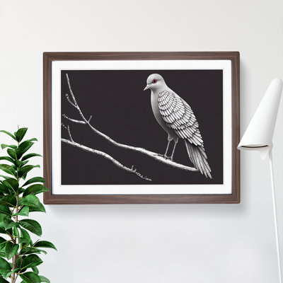 Alluring Dove Bird - Single Picture Frame Print