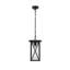 Amiriah 14 inch Outdoor Pendant in Black