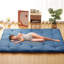 Matelas de sol futon japonais portable et confortable - lit de couchage pliable en forme de tatami, idéal pour une chambre, un dortoir, une chambre d'amis, un VR ou le camping. Disponible en formats simple et double.-2000805270-2000805272