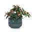 3 pots de fleurs en céramique, pot de fleurs moderne pour patio, jardin ou rebords de fenêtre - bleu marine antique