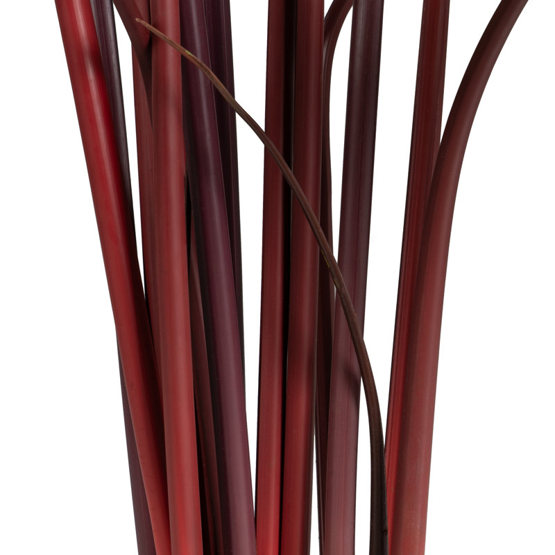 180cm Plant