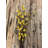 Ting Lara Faux Floral Stem in Shola Wood, 33 Inch Tall-920185851