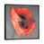 Black Framed selected