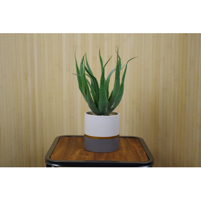 28Cm Artificial Aloe Plant in Pot