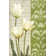 White Tulips by Matt Patterson - Wrapped Canvas Painting