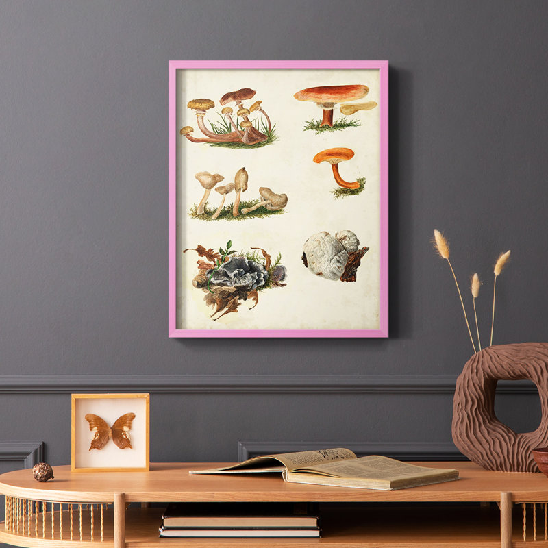 Reproduction encadrée «Mushroom Species X» - bois massif, Or, H 28 po x l 22 po
