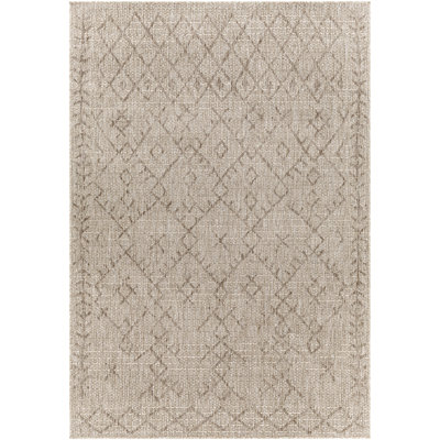 Mendota Moroccan Indoor / Outdoor Rug