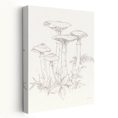Dessin et dessins, dessin de nature I
