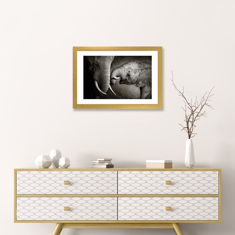 «Elephant Affection» par Johan Swanepoel - reproduction de photo, H 16 po x l 24 po x P 1 po, Papier encadré doré