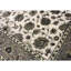 Oriental Area Rug