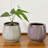 Ceramic Planter Ceramic Table Vase-93564556