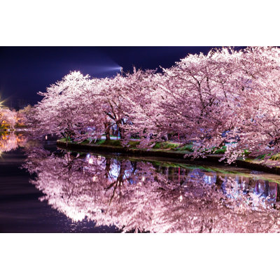 Sakura Trees - Wrapped Canvas Print