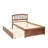 Gainesville Platform Bed-2652257
