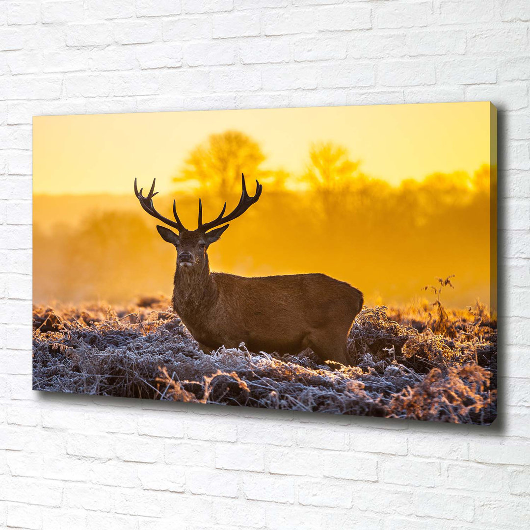 Deer Sunrise - Ungerahmte Kunstdrucke auf Leinwand