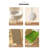56.3" Green Manufactured Wood Cat Tree