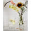 Pagod Handmade Glass Table Vase-1977762805-1977762807