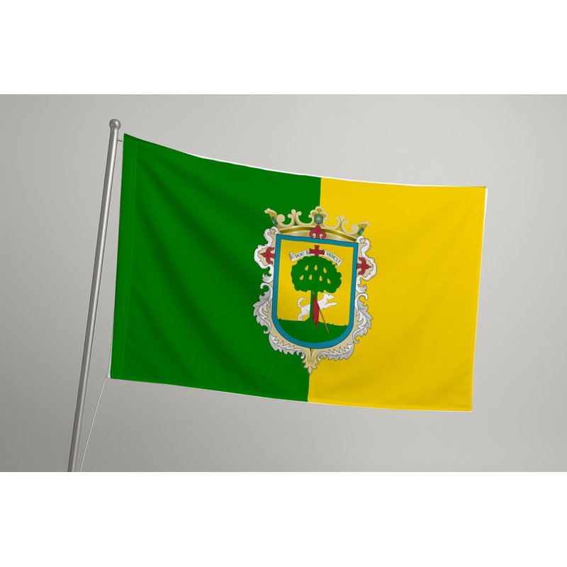 Drapeau de la ville de Zapopan - drapeau extérieur, H 24 po x l 36 po