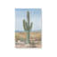 Ensemble de 2 cactus intemporels Saguaro-239930730-239930732