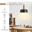Luminaire suspendu simple à 1 lumière Laytin-2037149676