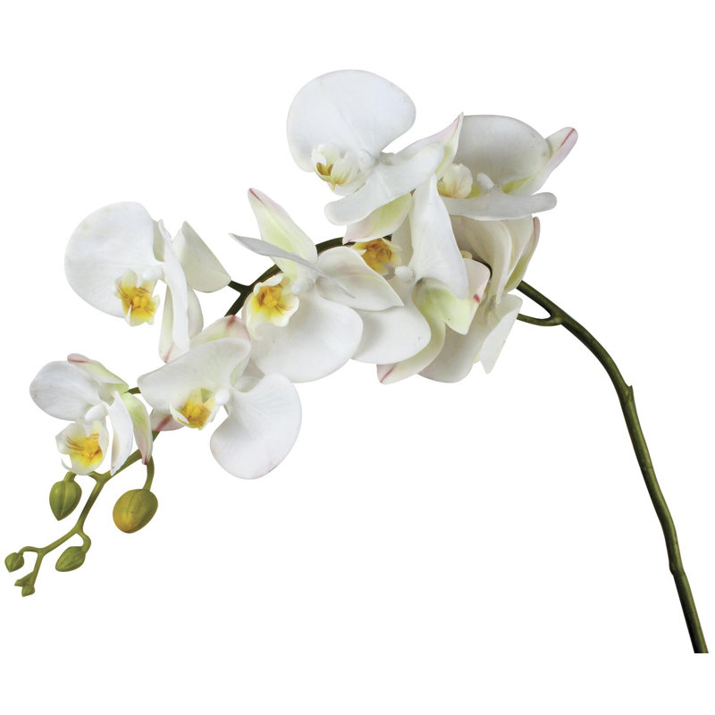 Tige d'orchidée, Blanc, H 41 po x l 6 po x P 15 po
