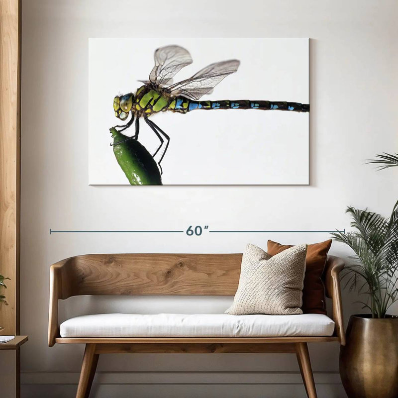 Green Darner Dragonfly, H 30 po x l 45 po