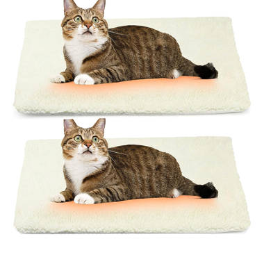 Waterproof Pet Electric Heating Pad Dog Cat Carpet Warming Mat with Chew Resistant Steel Cord Tucker Murphy Pet Size: 1 H x 17.2 W x 17.2 D