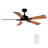 Quanique 56'' Ceiling Fan