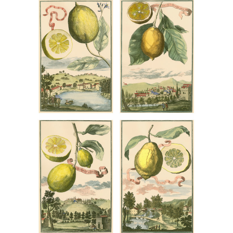 Miniature Lemons - Wrapped Canvas Painting, 46cm H x 30cm W