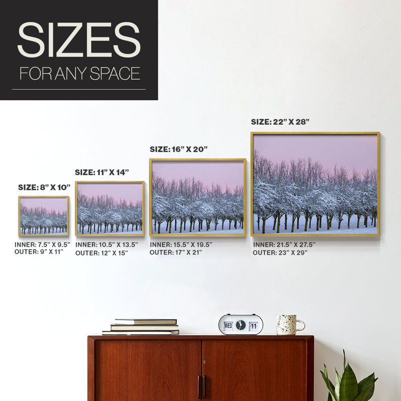 Winter's Beauty -Framed Print - Restickable