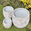 Aarin Concrete Pot Planter
