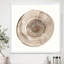 « circle natural elements ii », reproduction d’image sur toile-48300903-48300904