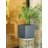 Planter-233710360-169870436