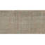 Floral Area Rug in Tan/Mint